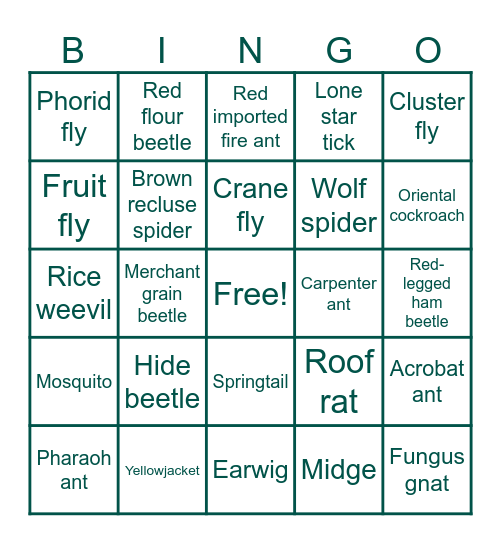 Sting-o Bingo Card