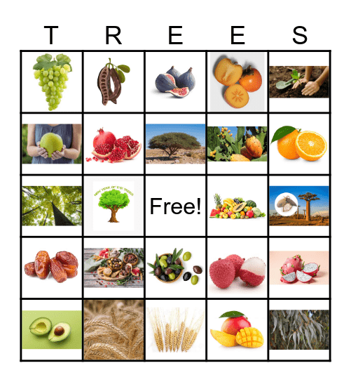 TU B'SHEVAT Bingo Card
