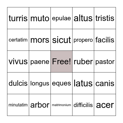 Latin Vocabulary Bingo Card