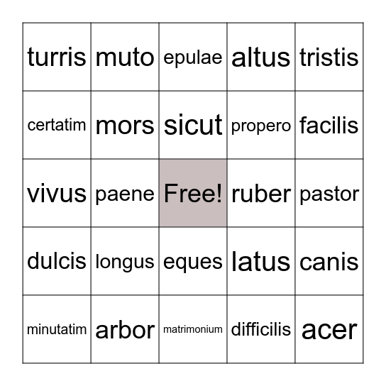 Latin Vocabulary Bingo Card