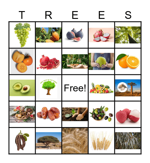 TU B'SHEVAT Bingo Card