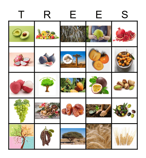 TU B'SHEVAT Bingo Card