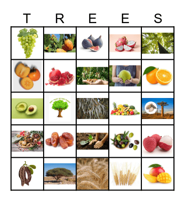 TU B'SHEVAT Bingo Card