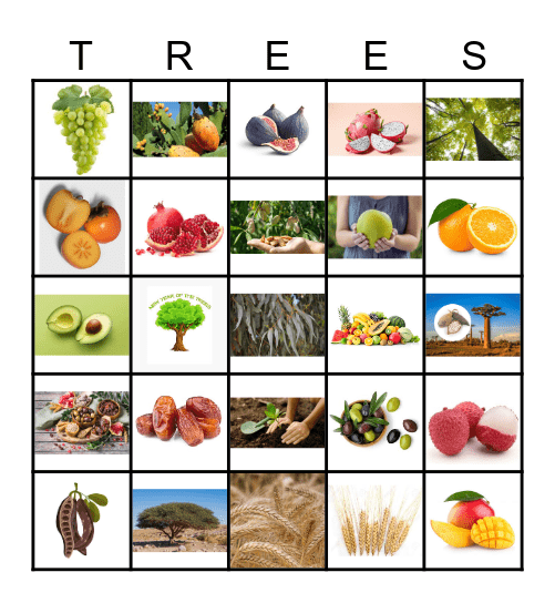 TU B'SHEVAT Bingo Card