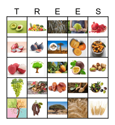TU B'SHEVAT Bingo Card