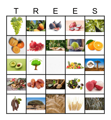 TU B'SHEVAT Bingo Card