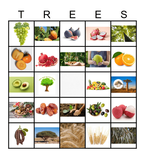 TU B'SHEVAT Bingo Card
