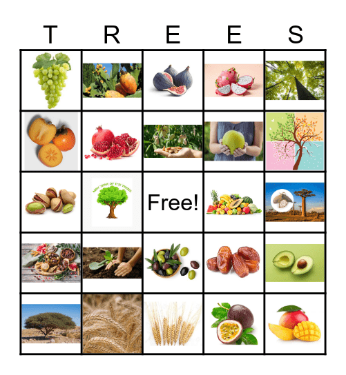 TU B'SHEVAT Bingo Card