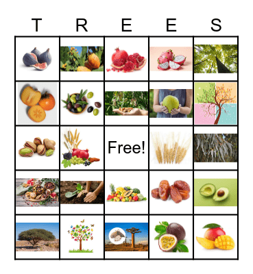TU B'SHEVAT Bingo Card