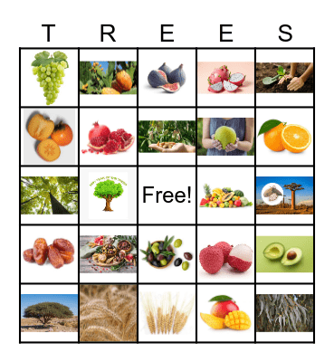 TU B'SHEVAT Bingo Card