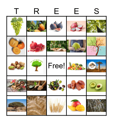 TU B'SHEVAT Bingo Card