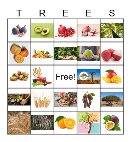 TU B'SHEVAT Bingo Card