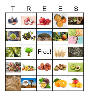 TU B'SHEVAT Bingo Card