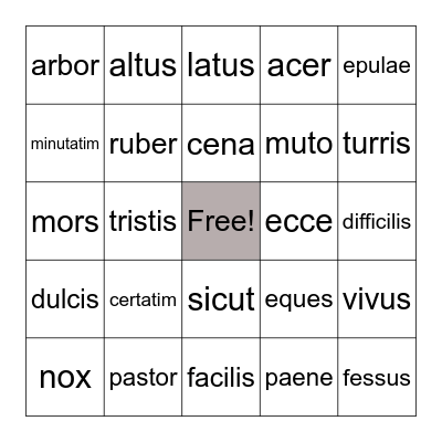 Latin vocabulary Bingo Card