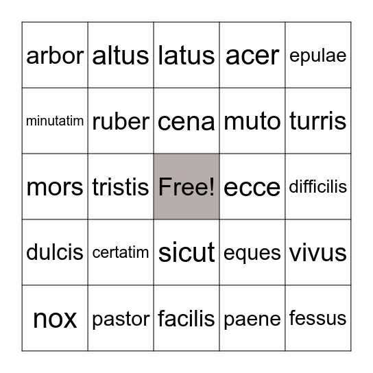 Latin vocabulary Bingo Card