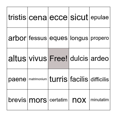 Latin vocabulary Bingo Card