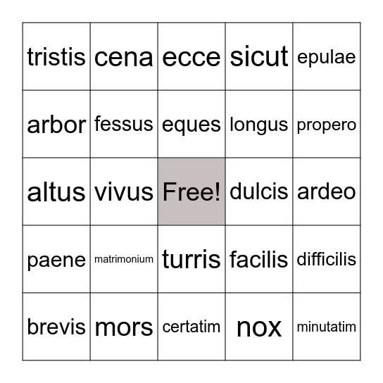 Latin vocabulary Bingo Card