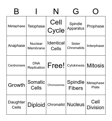 Mitosis Bingo Card
