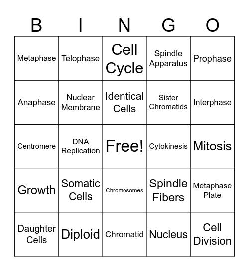 Mitosis Bingo Card