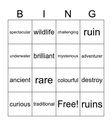 Experience of a lifetime Bingo Card