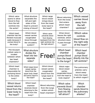 Anatomy of the Heart Bingo Card