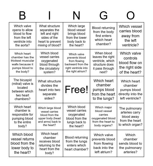 Anatomy of the Heart Bingo Card