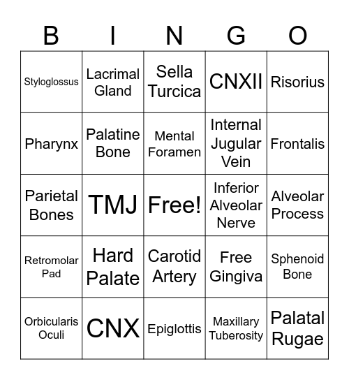 Head and Neck Anatomy Bingo Card