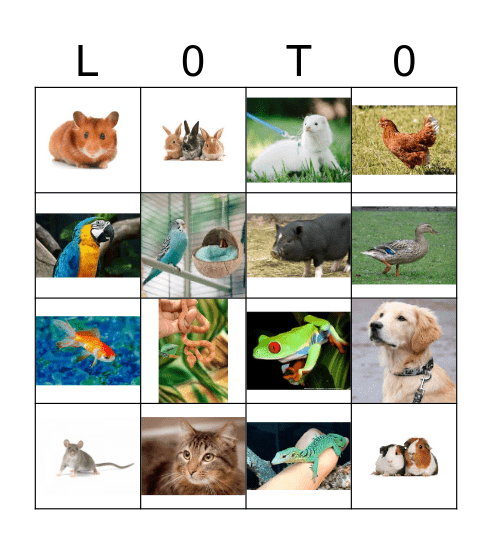 Animaux Domestiques Bingo Card
