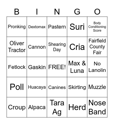 ALPACA DAY BINGO Card