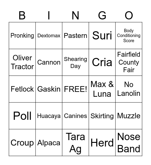 ALPACA DAY BINGO Card