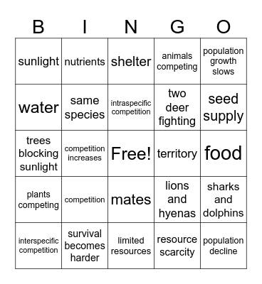 Competition Bingo Card