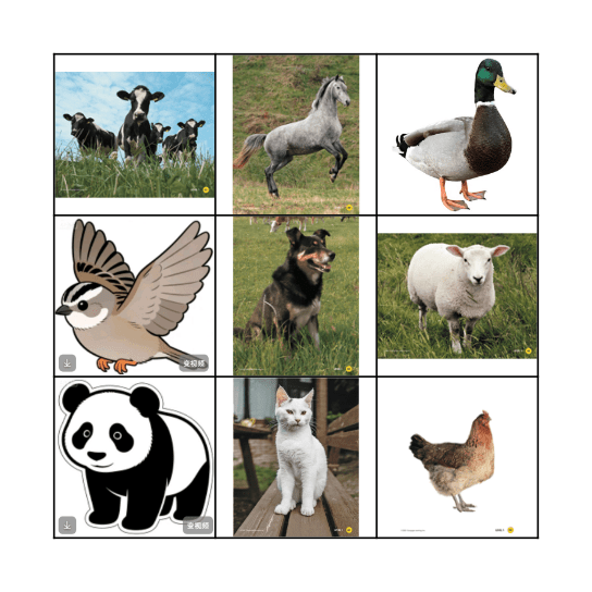 动物 Bingo Card