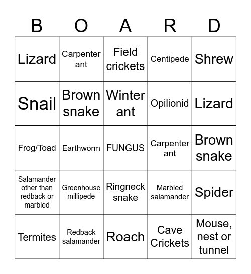 Cover Board Bingo Card