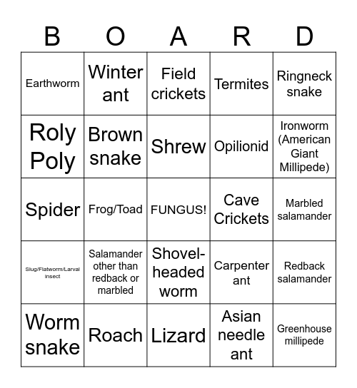 Cover Board Bingo Card
