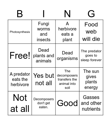 Decomposers Bingo Card