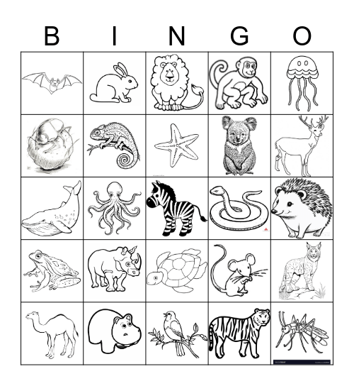 ANIMALS Bingo Card