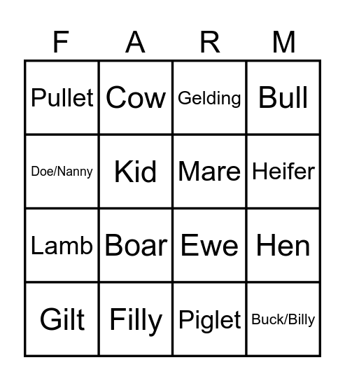 Animal Gender Terms Bingo Card