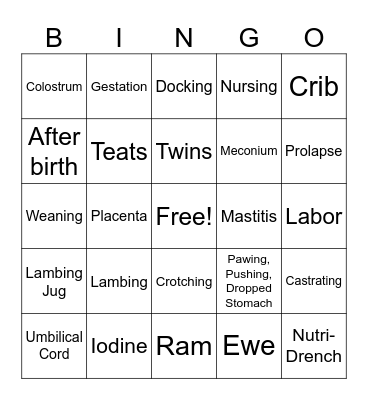 Lambing BINGO Card