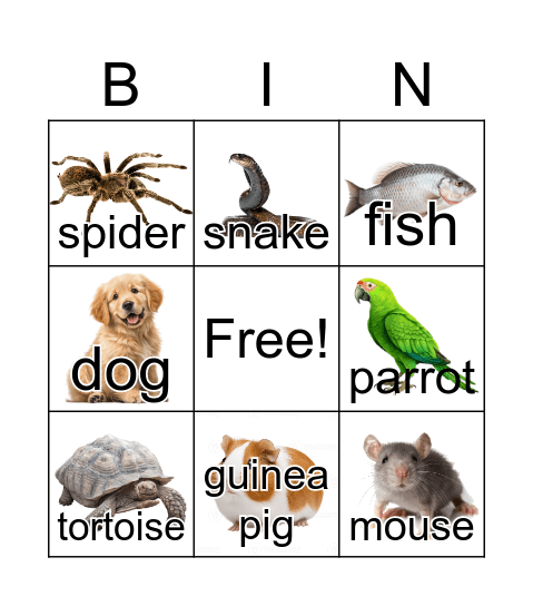 Animals Bingo Card
