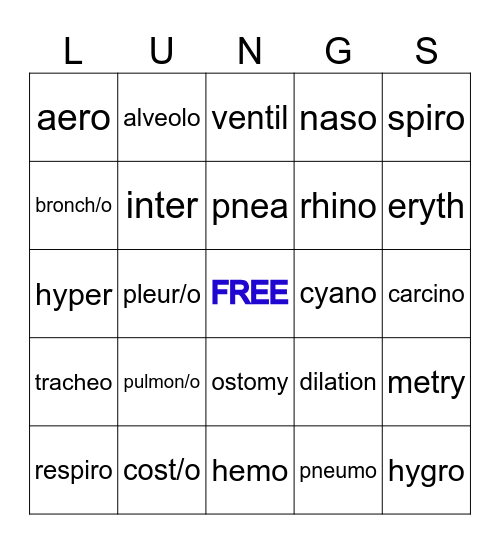 Respiratory Root Words Bingo Card