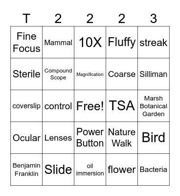 Tree of Life Bingo Card