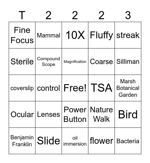 Tree of Life Bingo Card