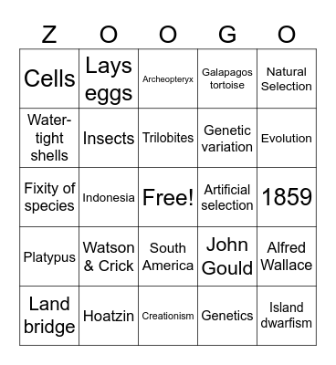 The Tree of Life Bingo Card