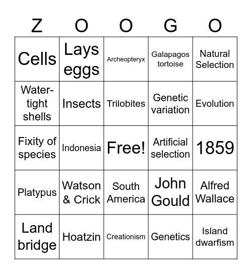 The Tree of Life Bingo Card