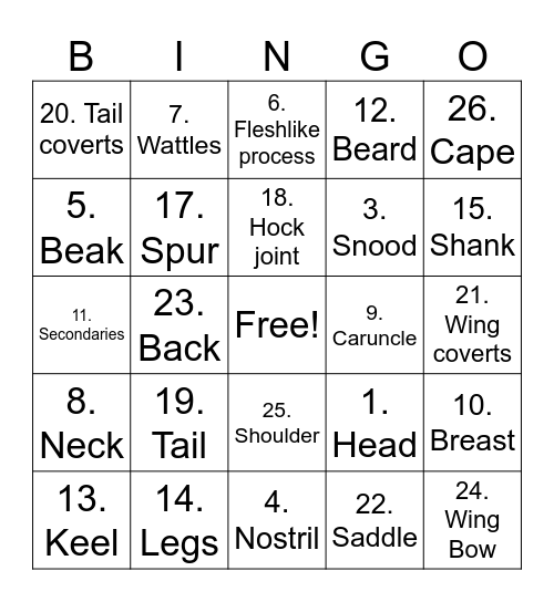 Turkey Bingo Card
