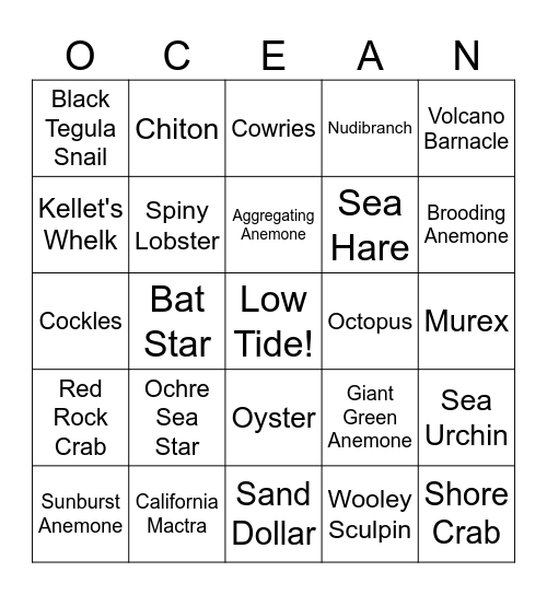 Tidepool Bingo Card