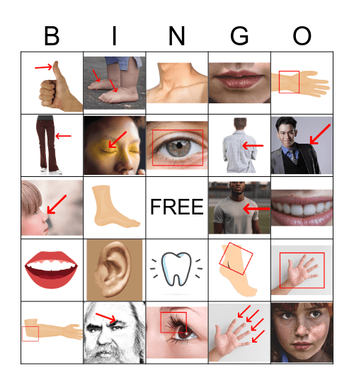 Parts of the Body Bingo Card