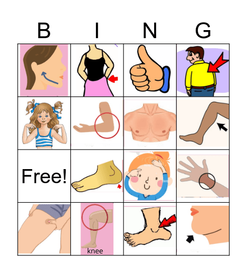 Parts of the body Bingo Card