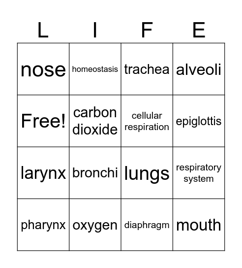 Respiratory System Bingo Card