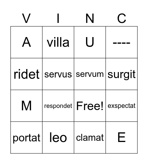 Stage 3 nom/acc & declension Bingo Card